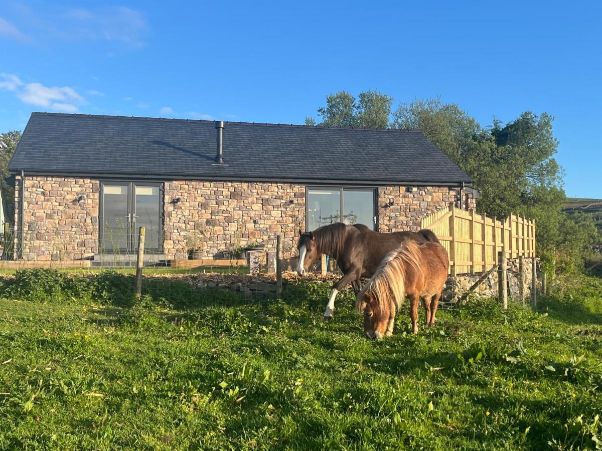 Hedd Wen Villa Llanllyfni Exteriör bild