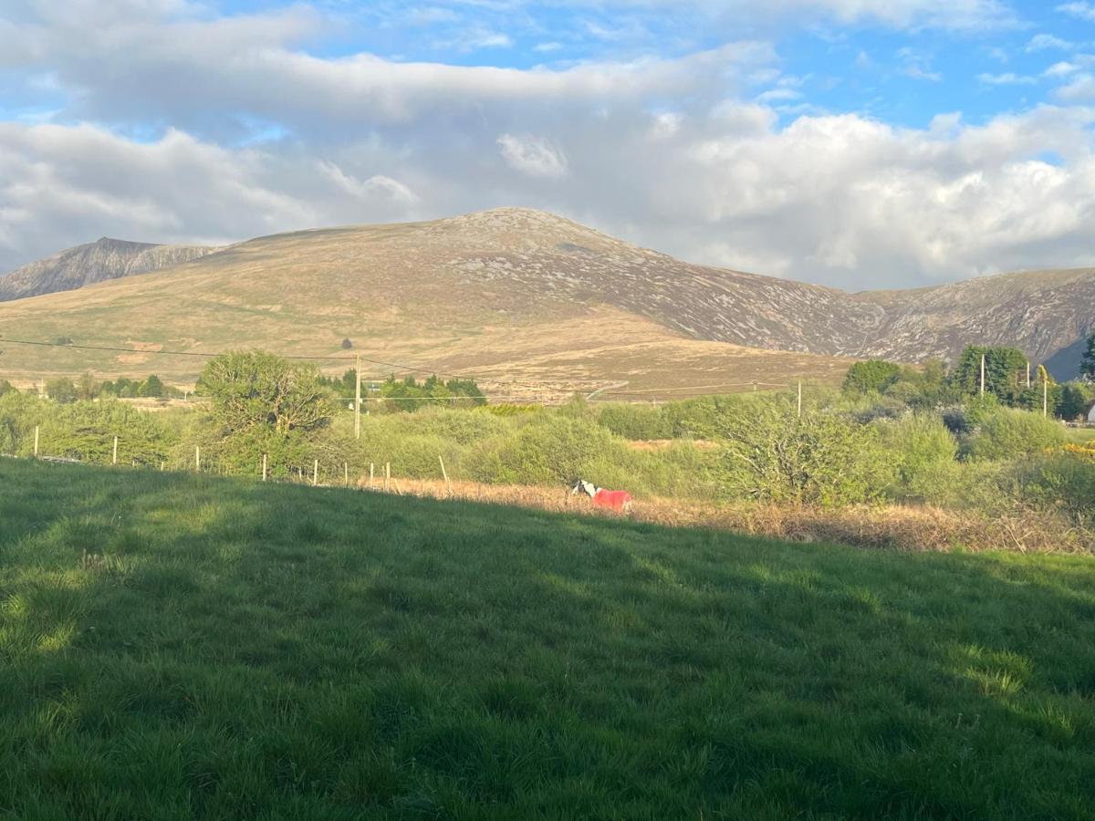 Hedd Wen Villa Llanllyfni Exteriör bild