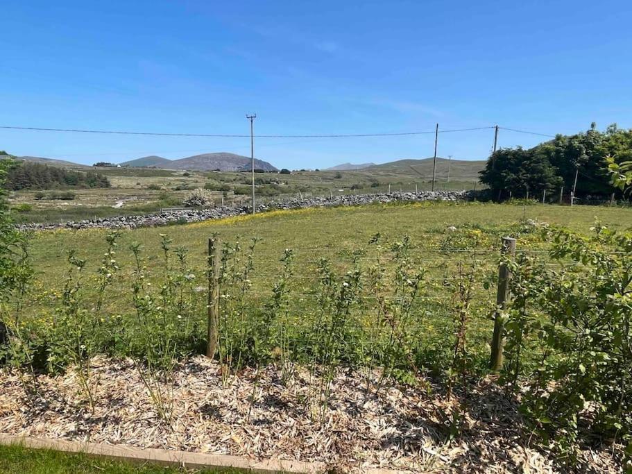Hedd Wen Villa Llanllyfni Exteriör bild
