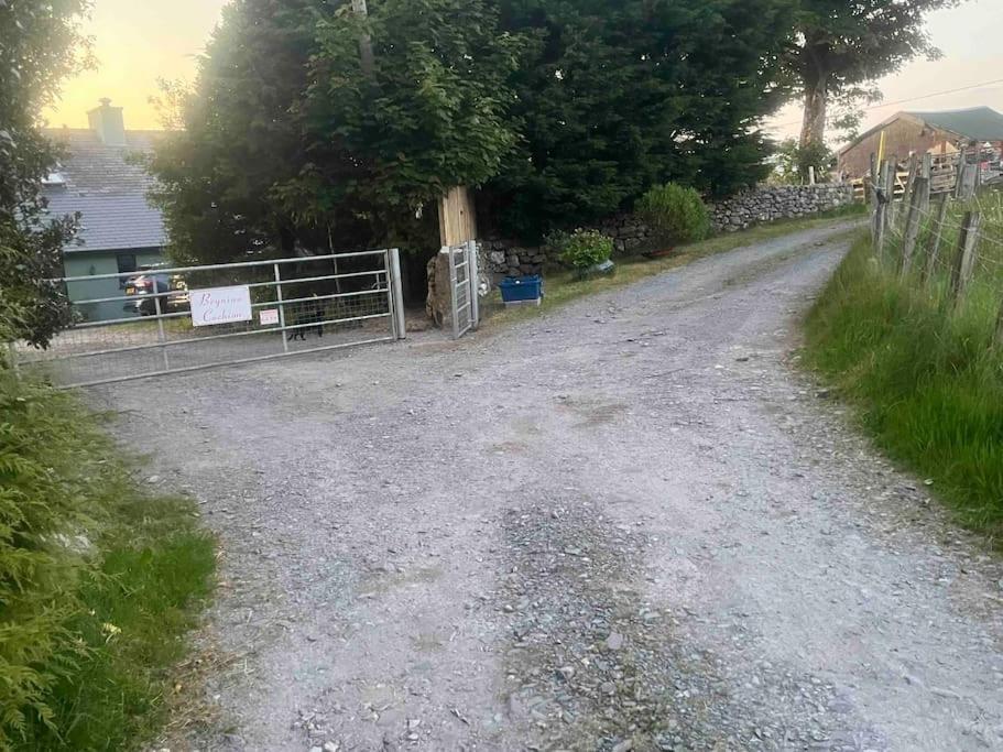 Hedd Wen Villa Llanllyfni Exteriör bild
