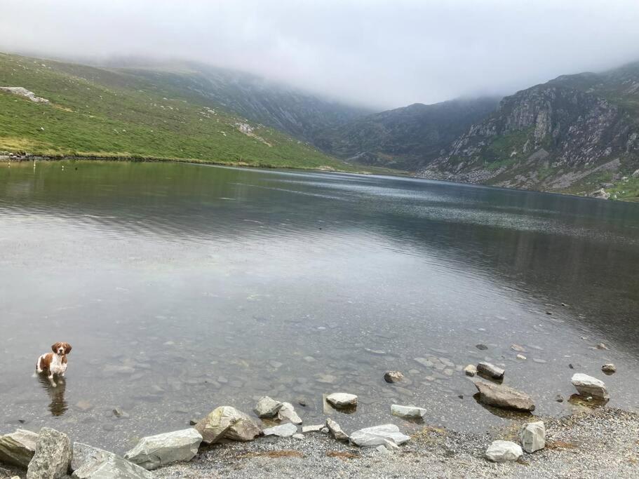 Hedd Wen Villa Llanllyfni Exteriör bild
