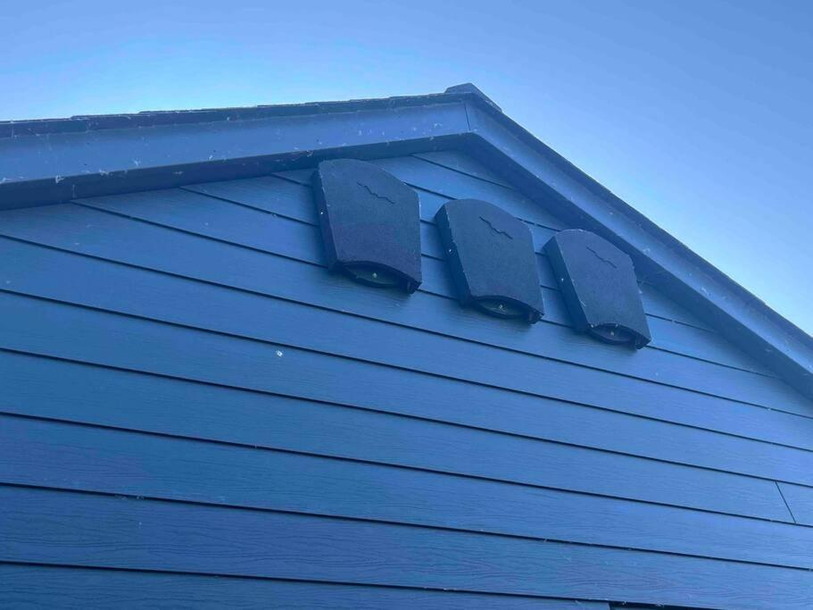 Hedd Wen Villa Llanllyfni Exteriör bild