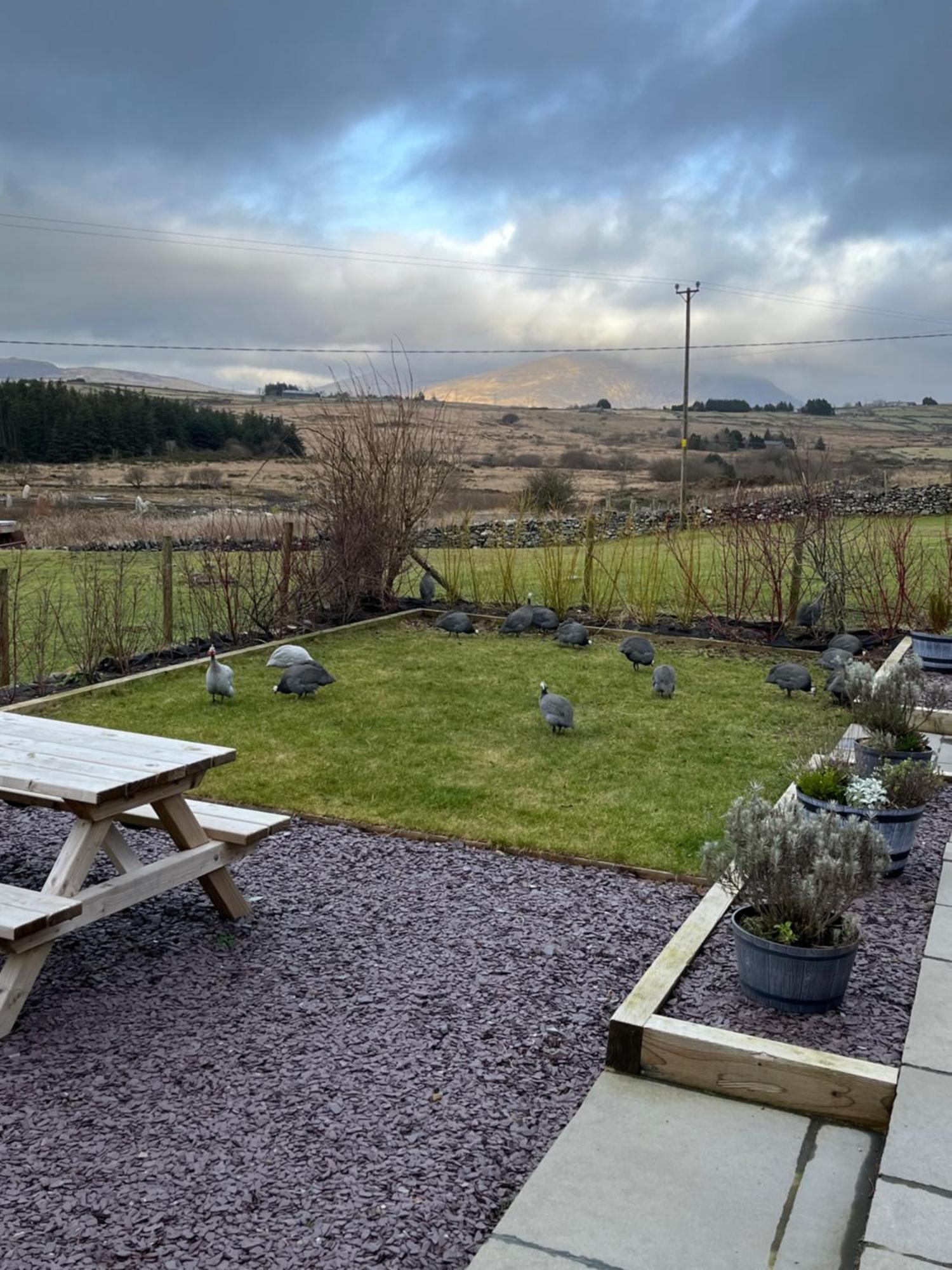 Hedd Wen Villa Llanllyfni Exteriör bild